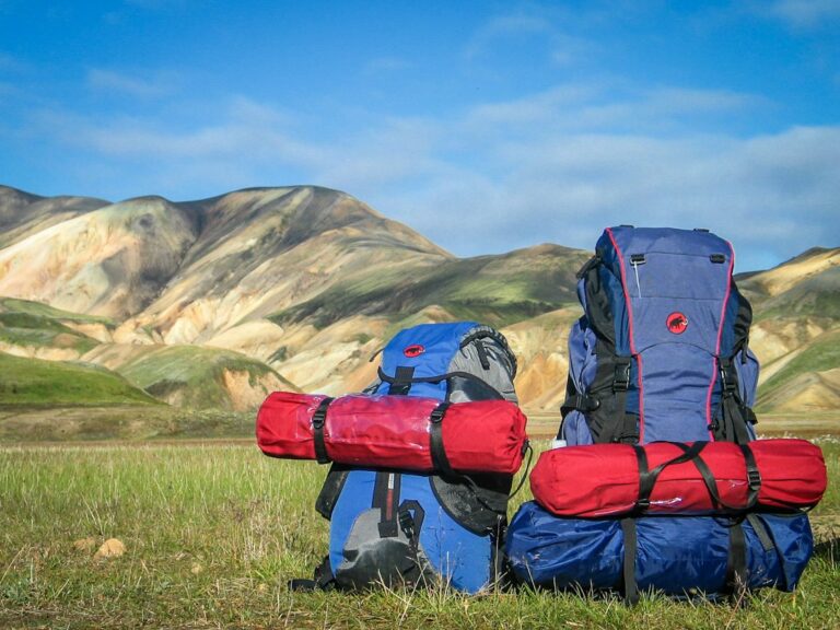 The Best Eco-Friendly Travel Products for Conscious Travelers